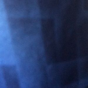 Meet your Posher, Sid